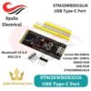 Weact Studio STM32WB55CGU6 STM32WB55CG with USB Type-C [Syalis]