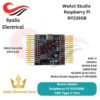 WeAct Studio RP2350B Raspberry Pi RP2350B RISC-V Hazard3 520KByte SRAM 16MByte QSPI Flash 48GPIO All out USB type-C Port [Syalis]