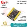 Weact Studio STM32F412RET6 STM32 Module with USB Type-C Port STM32 MCU 100MHz [Syalis]