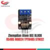 Kit Pemula Zhengdian Atom BEE BLOCK RS485 MB024 TPT8485 STM32 [Syalis]