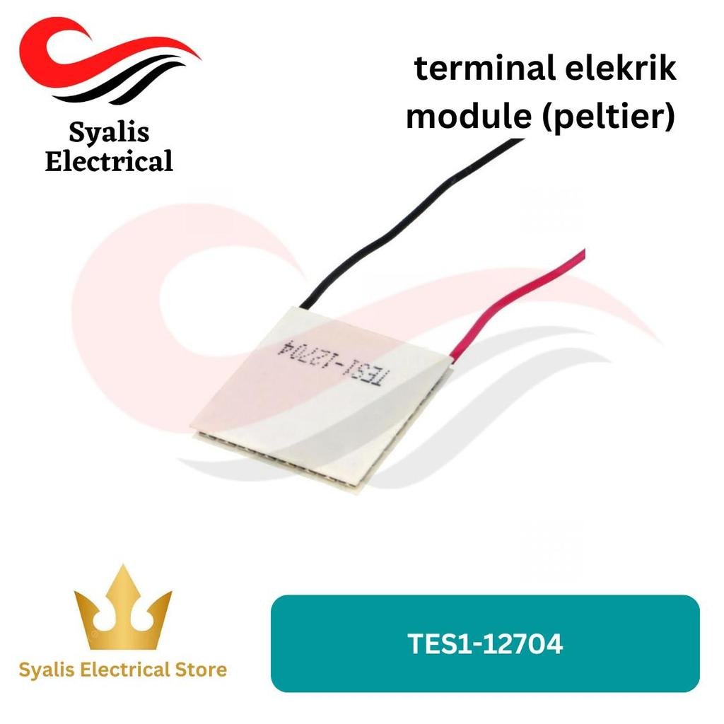 thermoelectric module tes1-12704 30mm x 30mm