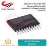 HC32F005C6PA ARM Cortex-M0 32-bit MCU Microcontroller TSSOP-20 Original [Syalis]