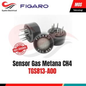 Sensor Gas TGS813-A00 Deteksi Metana CH4 LPG LNG Gas Alam Combustible Gas Sensor Figaro Original [Syalis]